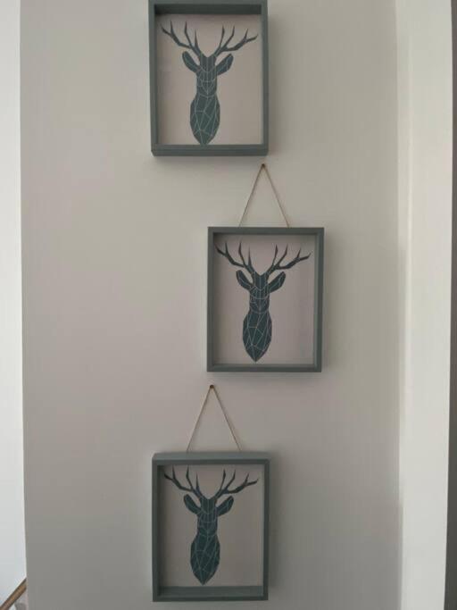 אובאן Newly Refurbished Town Centre Apartment מראה חיצוני תמונה